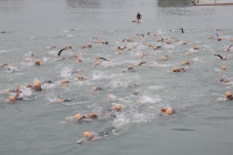 2007年　第2回　大井川港トライアスロン大会