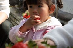 IMG_0174