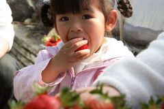 IMG_0175