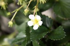 IMG_0185